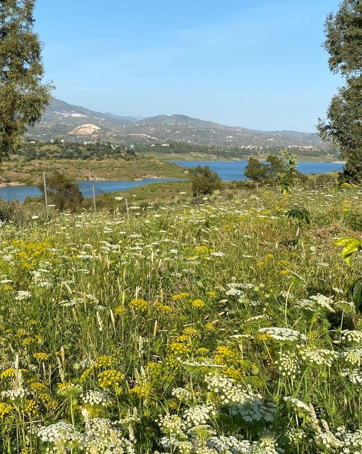 La Rustica En Vinuela, Piscina Privada Villa Dış mekan fotoğraf