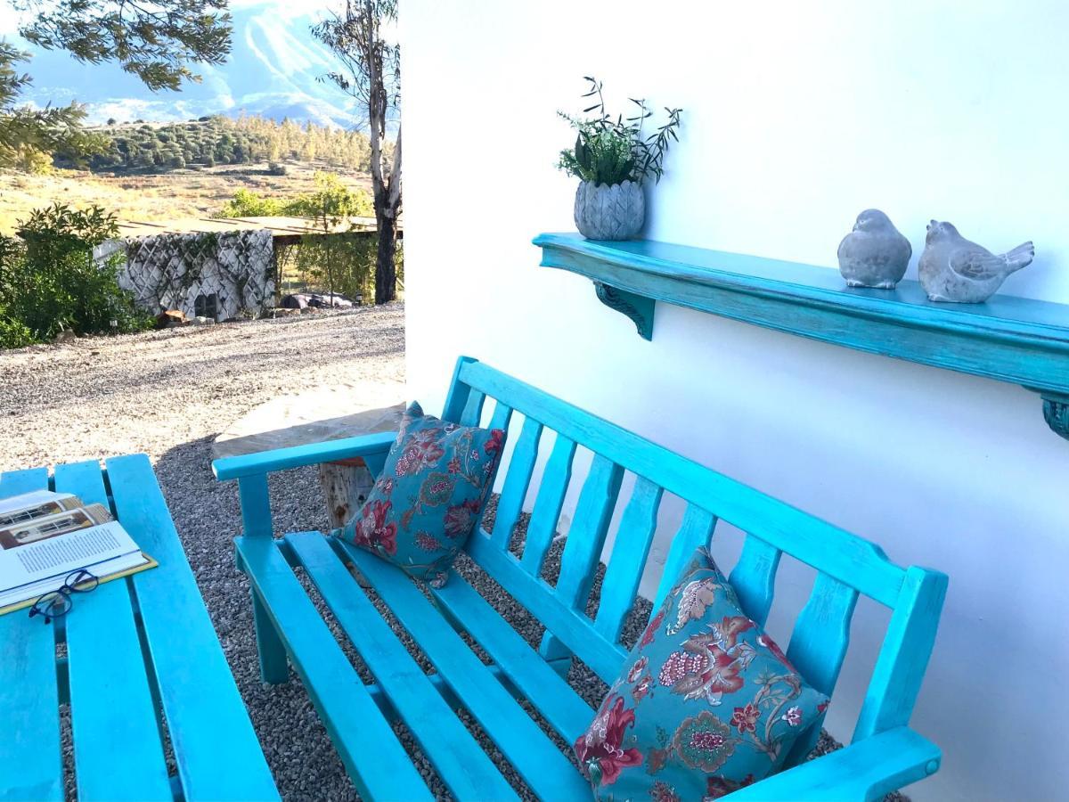 La Rustica En Vinuela, Piscina Privada Villa Dış mekan fotoğraf