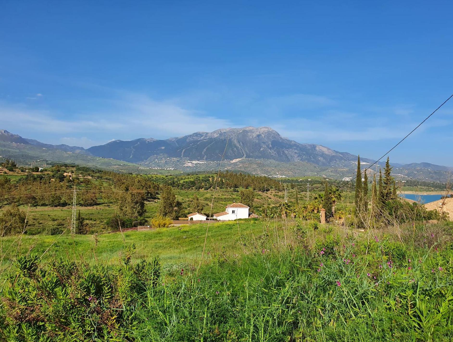 La Rustica En Vinuela, Piscina Privada Villa Dış mekan fotoğraf